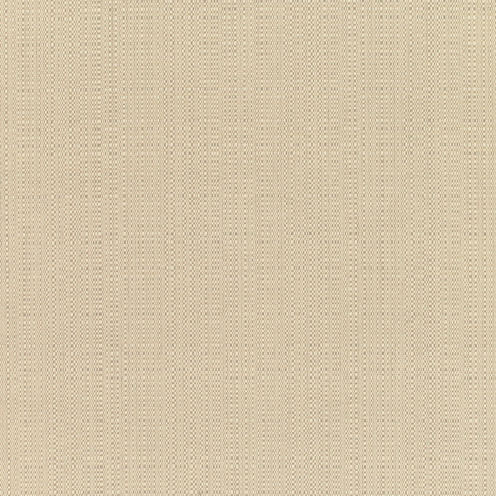 8300 77 Rain Linen Champagne by Sunbrella Fabric Sunbrella Rain 100% Sunbrella® Acrylic USA or Imported 5-Year Horizontal: and Vertical: 60 yd. 54 in. - Fabric Carolina -