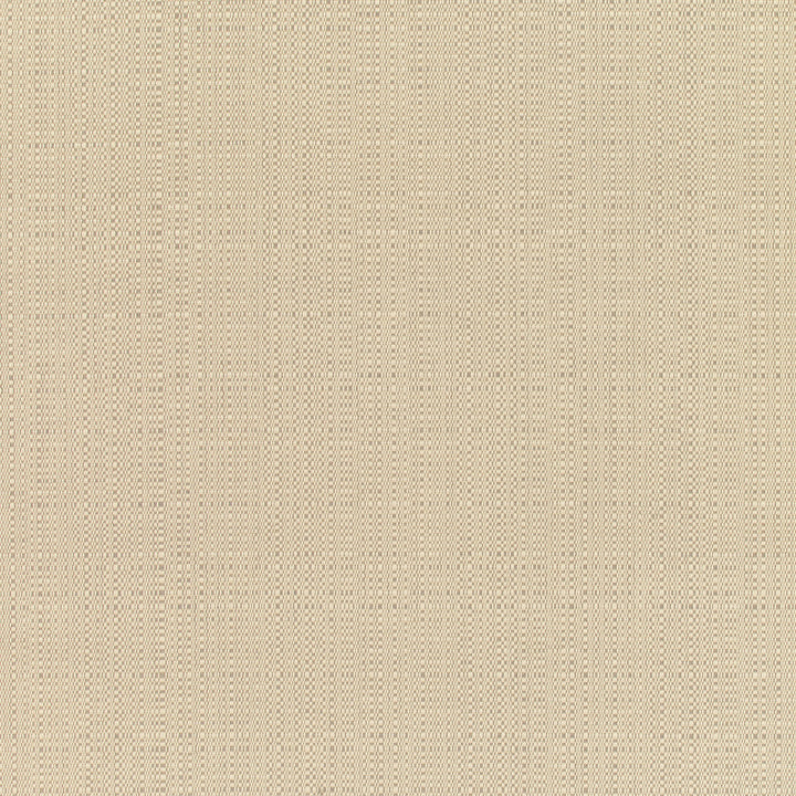 8300 77 Rain Linen Champagne by Sunbrella Fabric Sunbrella Rain 100% Sunbrella® Acrylic USA or Imported 5-Year Horizontal: and Vertical: 60 yd. 54 in. - Fabric Carolina -