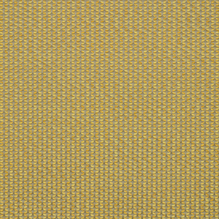 MAJ J338 140 Majestic Citrine by Sunbrella Designer Fabric Sunbrella European Sunbrella® Acrylic, Sunbrella® Polyester USA or Imported 5-Year Horizontal: and Vertical: 55 in. - Swanky Fabrics -