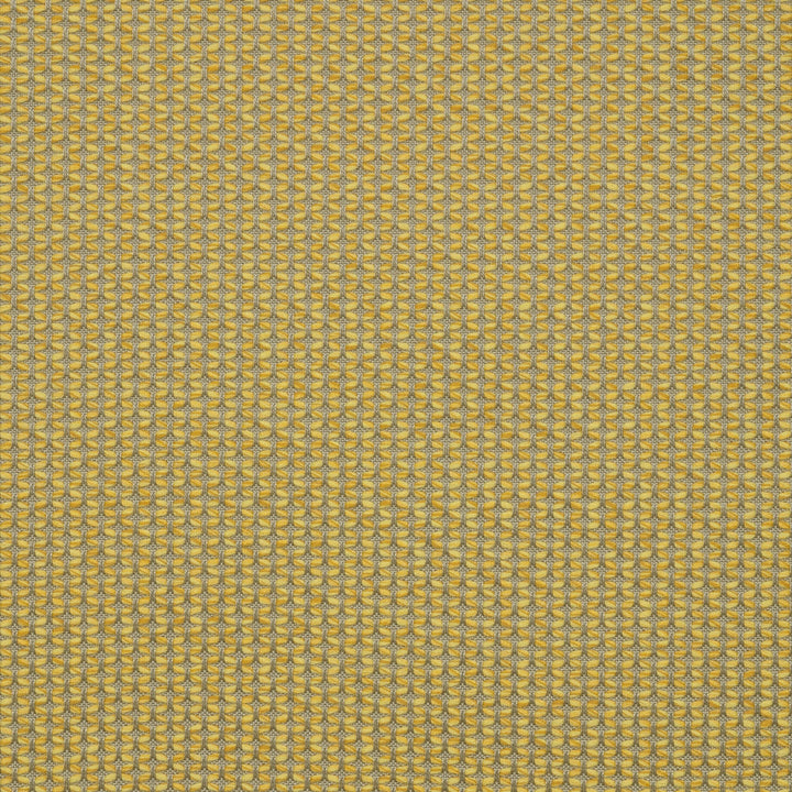 MAJ J338 140 Majestic Citrine by Sunbrella Fabric Sunbrella European Sunbrella® Acrylic, Sunbrella® Polyester USA or Imported 5-Year Horizontal: and Vertical: 55 in. - Fabric Carolina -