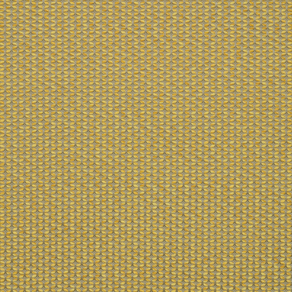 MAJ J338 140 Majestic Citrine by Sunbrella Designer Fabric Sunbrella European SunbrellaÂ® Acrylic, SunbrellaÂ® Polyester USA or Imported 5-Year Horizontal: and Vertical: 55 in. - Swanky Fabrics -