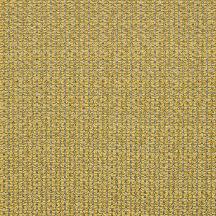 MAJ J338 140 Majestic Citrine by Sunbrella Designer Fabric Sunbrella European SunbrellaÂ® Acrylic, SunbrellaÂ® Polyester USA or Imported 5-Year Horizontal: and Vertical: 55 in. - Swanky Fabrics -