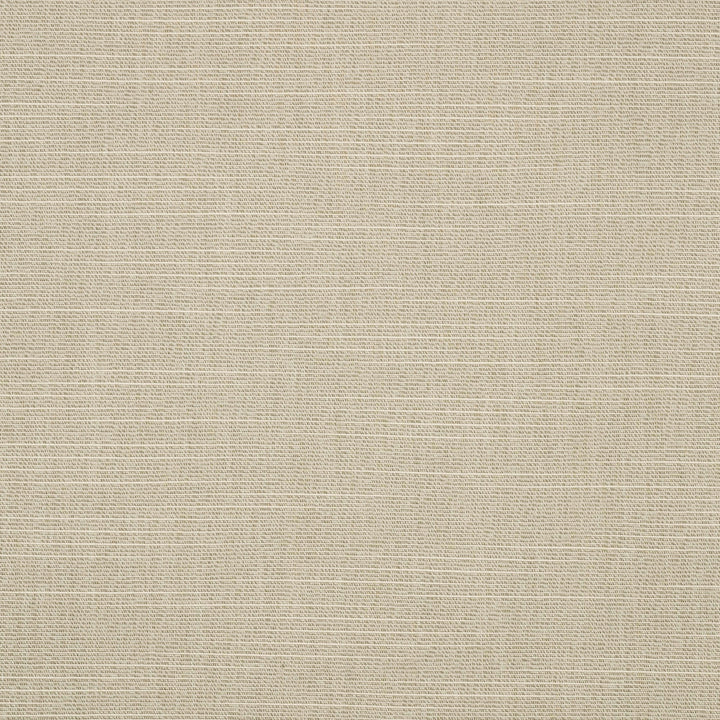 4862 Silica Silver by Sunbrella Fabric Sunbrella Awning / Marine 46 in. Solids 100% Sunbrella® Acrylic USA or Imported 10-Year Horizontal: and Vertical: 46 in. - Fabric Carolina -