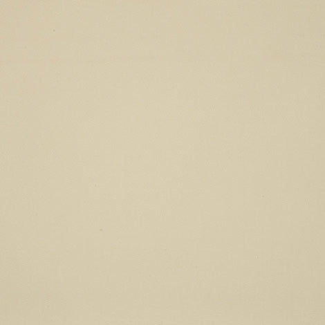 7548 Raw Tweed / Beige by Sunbrella Fabric Dickson North American Collection - Solids 100% Solution Dyed Acrylic USA or Imported 10-Year Horizontal: and Vertical: 47 in. - Fabric Carolina -