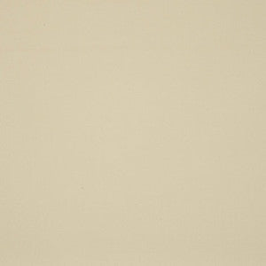 7548 Raw Tweed / Beige by Sunbrella Fabric
