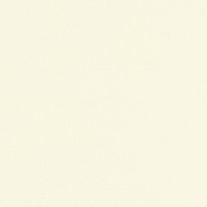 Catarina Linen Cream 70040 by Schumacher Fabric