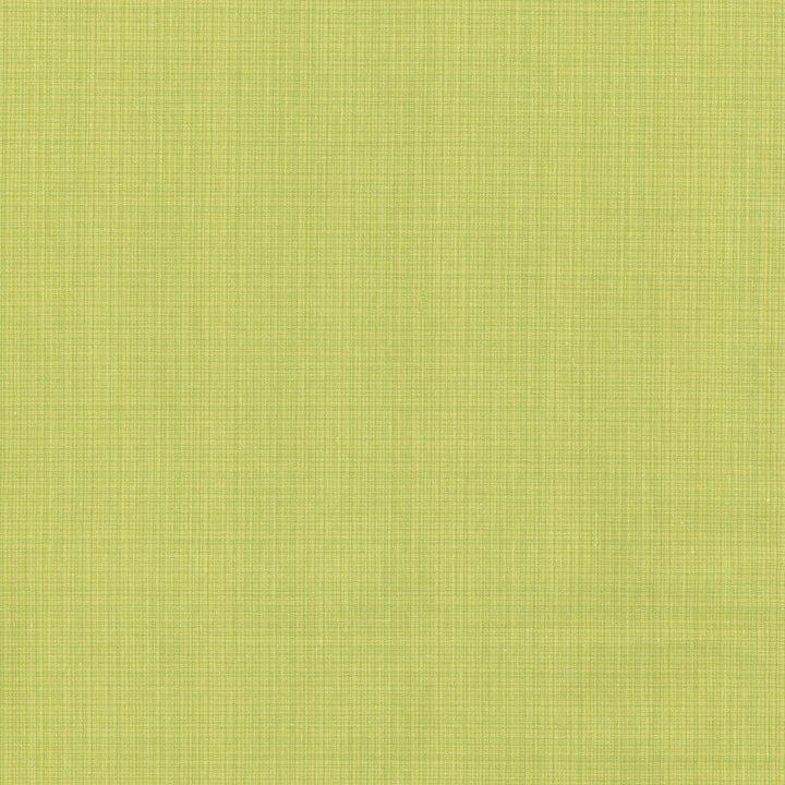 Stratford Strie Spring 700442 by Williamsburg Fabric WELL-TRAVELLED TRADITIONS 100% Cotton PORTUGAL Wyzenbeek 51,000 Horizontal: 0.00" and Vertical: 0.00" 56" - Fabric Carolina -