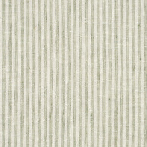 Tori Stripe Sheer Sage 70069 by Schumacher Fabric