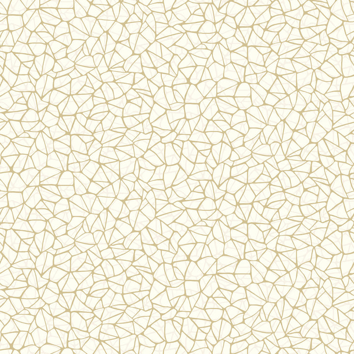 7006 15W7781 by JF Wallcovering ARRIS WALLCOVERINGS 100% Wallpaper United Kingdom Horizontal: and Vertical: 20.5 20.5 - Fabric Carolina -