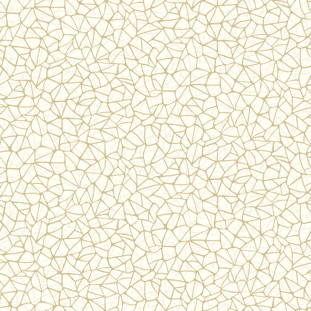 7006 15W7781 by JF Wallcovering ARRIS WALLCOVERINGS 100% Wallpaper United Kingdom Horizontal: and Vertical: 20.5 20.5 inches, 11 yards per roll. - Fabric Carolina -