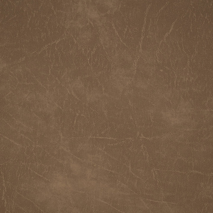70374 Antelope by Greenhouse Fabric Face: 100% Pvc, Back: 100% Polyester Canada 250,000 </p><p>Repeat: None 54" - Fabric Carolina -