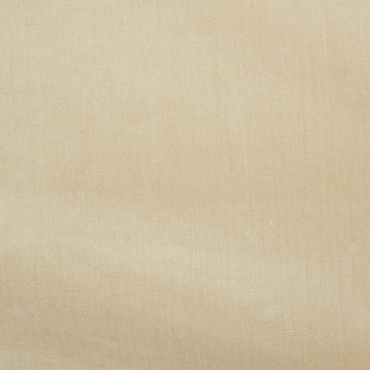 Venetian Silk Velvet Pearl 70420 by Schumacher Fabric Perfect-Basics-Venetian-Silk-Velvet 51% Silk, 49% Cotton Martindale 20,000 Horizontal: - and Vertical: - 55 - Fabric Carolina -