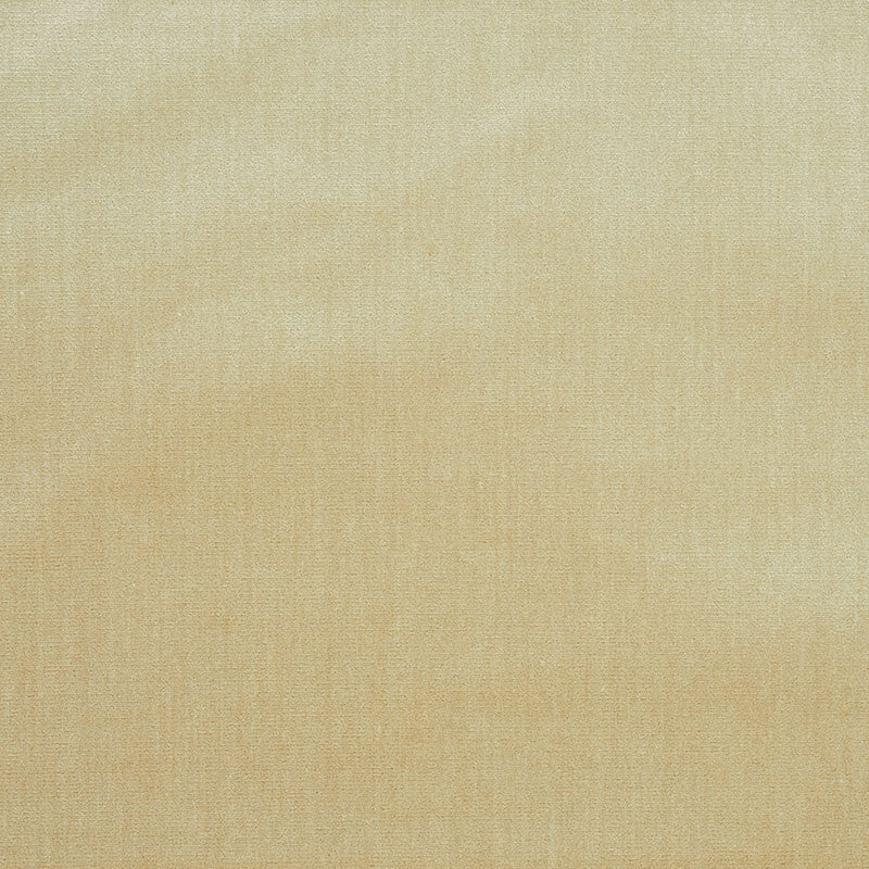 Venetian Silk Velvet Oyster 70422 by Schumacher Fabric Perfect-Basics-Venetian-Silk-Velvet 51% Silk, 49% Cotton Martindale 20,000 Horizontal: - and Vertical: - 559140CM0 - Fabric Carolina -