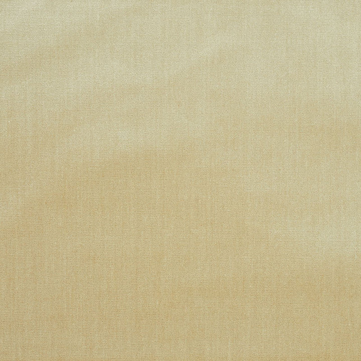 Venetian Silk Velvet Oyster 70422 by Schumacher Fabric Perfect-Basics-Venetian-Silk-Velvet 51% Silk, 49% Cotton Martindale 20,000 Horizontal: - and Vertical: - 559140CM0 - Fabric Carolina -