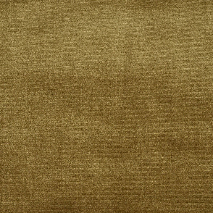 Venetian Silk Velvet Hazel 70423 by Schumacher Fabric Schumacher Fabric Venetian Silk Velvet Hazel 70423Fabric SILK 51% ITALY </p><p>Repeat: H: , V: 55 - Fabric Carolina -