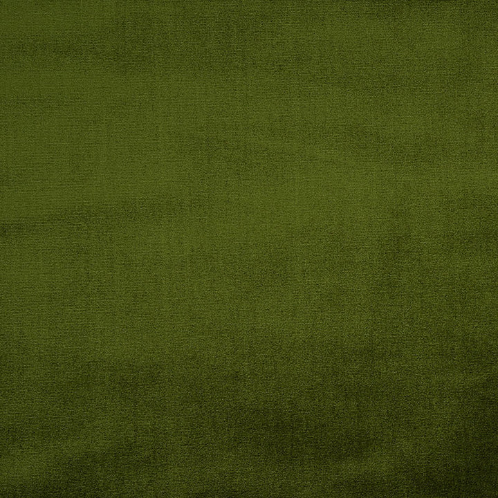 Venetian Silk Velvet Moss 70438 by Schumacher Fabric Perfect-Basics-Venetian-Silk-Velvet 51% Silk, 49% Cotton Martindale 20,000 Horizontal: - and Vertical: - 55 - Fabric Carolina -