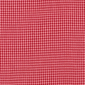 Zipster Red & Pink 70530 by Schumacher Fabric