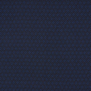 Red Hook Midnight 70554 by Schumacher Fabric