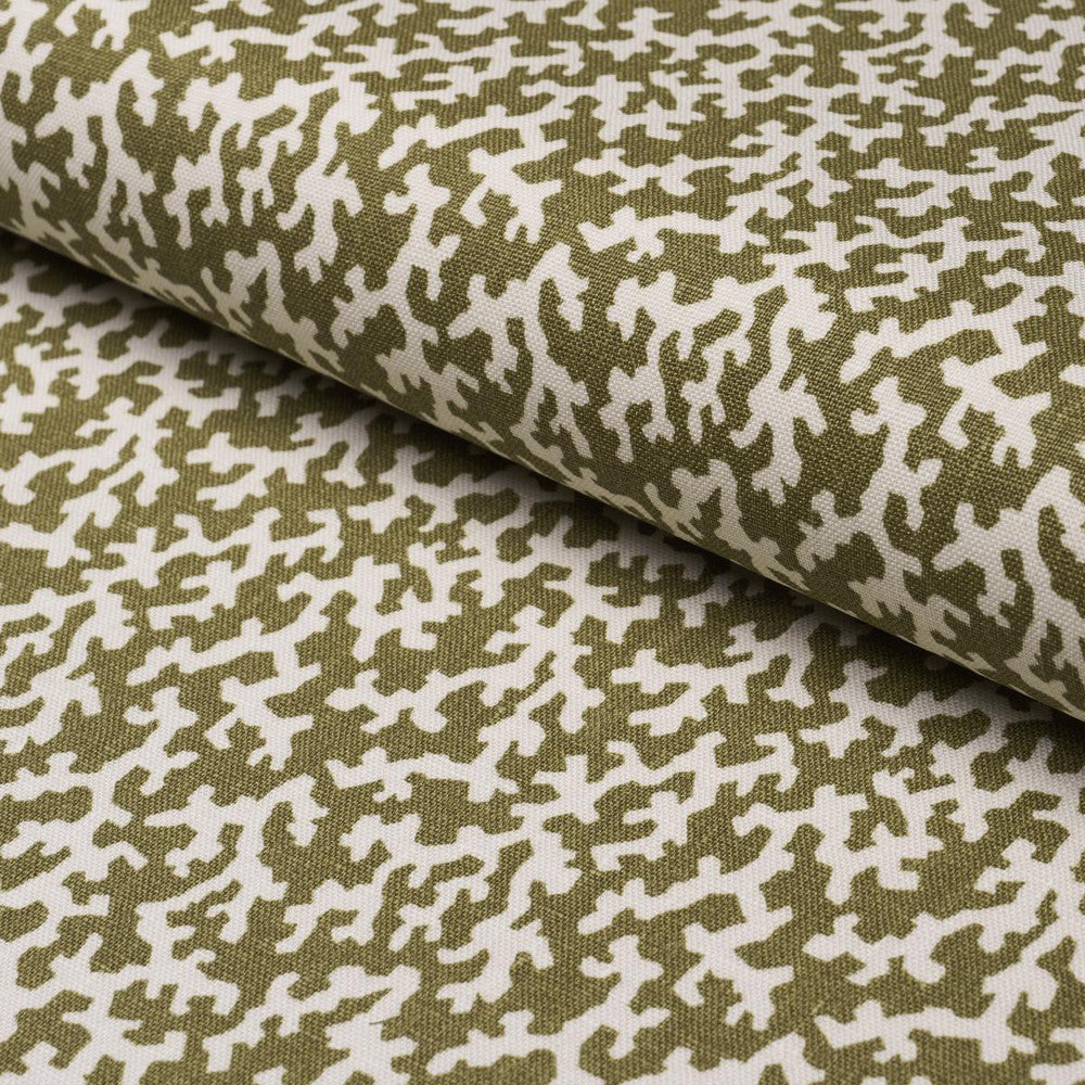 Folly Olive 176129 by Schumacher Fabric Veere Grenney 4.38" - Fabric Carolina -