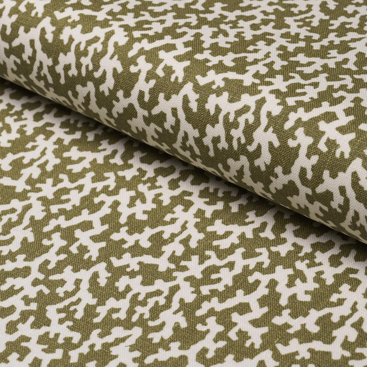 Folly Olive 176129 by Schumacher Fabric Veere Grenney 4.38" - Fabric Carolina -