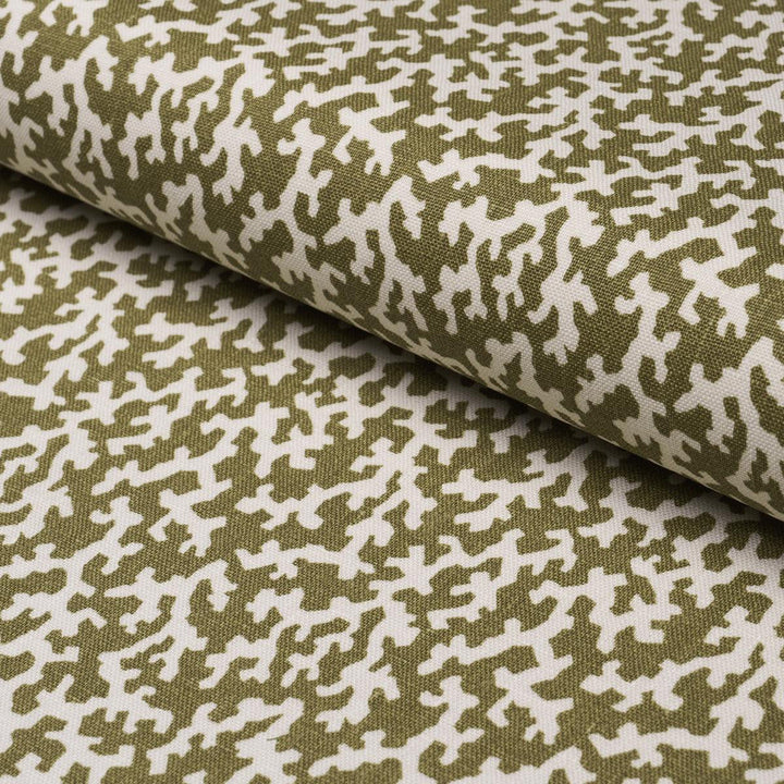 Folly Olive 176129 by Schumacher Designer Fabric Veere Grenney 4.38" - Swanky Fabrics -