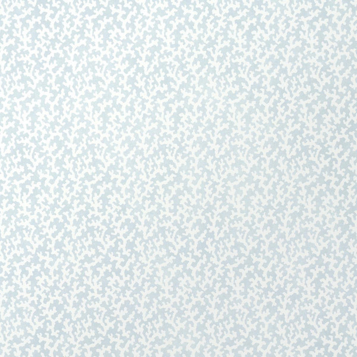 Folly Sky 5008009 by Schumacher Wallpaper Veere Grenney 4.38" - Fabric Carolina -