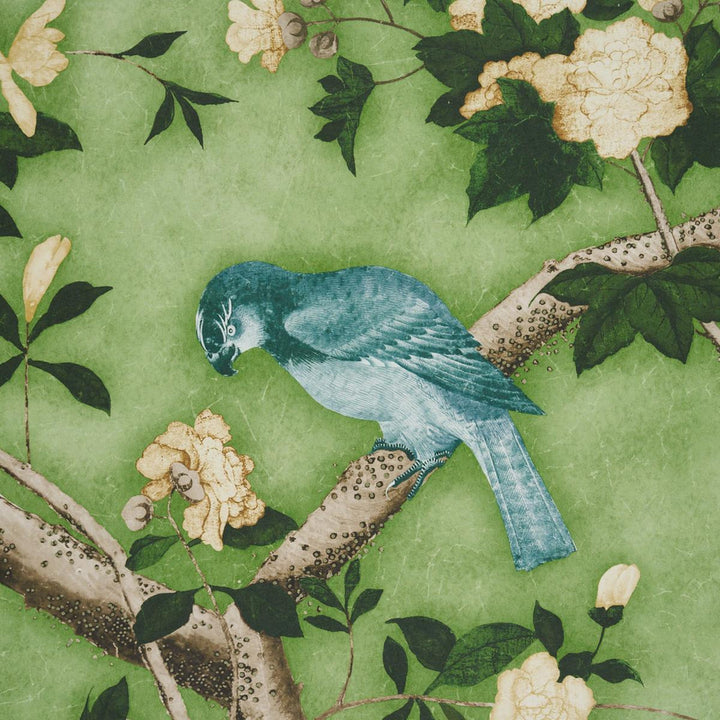 Les Oiseaux Apple Green 5015153 by Schumacher Wallpaper Perennial Favorites 162.0" - Fabric Carolina -