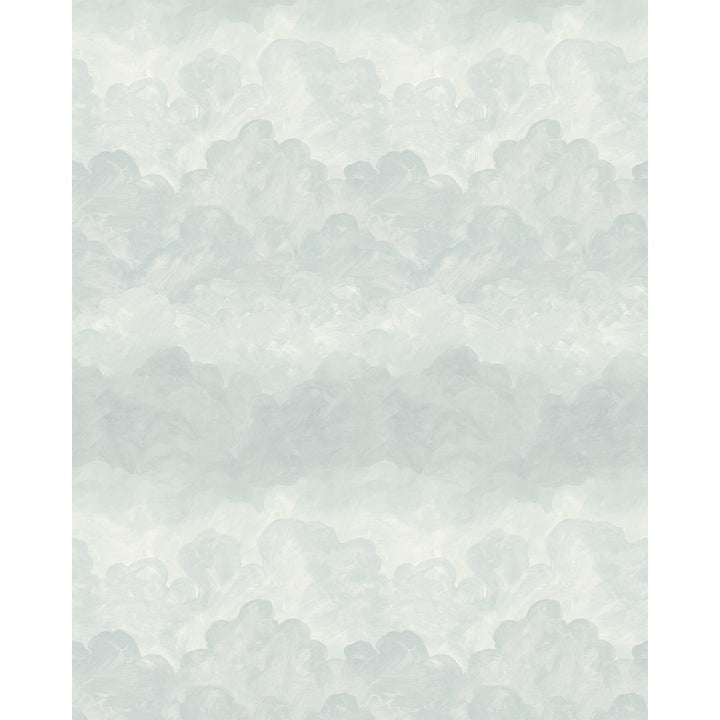 Painted Sky Air 5016022 by Schumacher Wallpaper Backdrop X Xavier Donnelly 54.0" - Fabric Carolina -