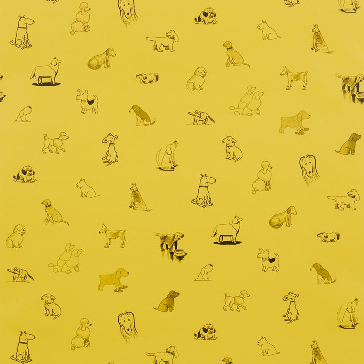 Good Dogs Everywhere Taxi-Cab Yellow 5016131 by Schumacher Wallpaper The New Yorker 13.5" - Fabric Carolina -