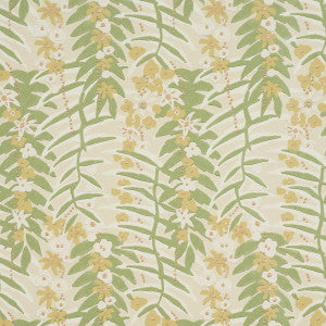 Ashbee Botanical Citron 5016251 by Schumacher Wallpaper