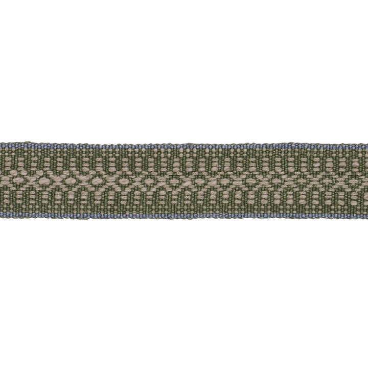 Helena Linen Cotton Tape Fern 84022 by Schumacher Designer Trim Patterson Flynn 1.25" - Swanky Fabrics -