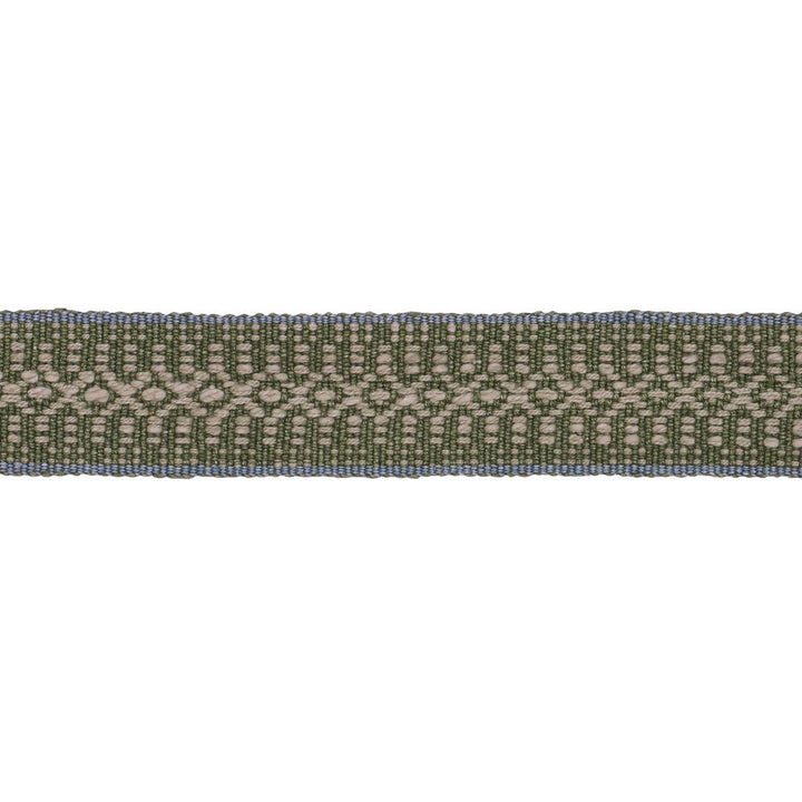 Helena Linen Cotton Tape Fern 84022 by Schumacher Trim Patterson Flynn 1.25" - Fabric Carolina -