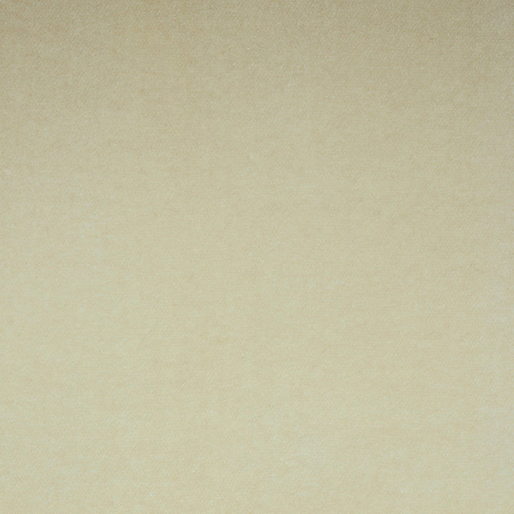 Rocky Performance Velvet Parchment 70578 by Schumacher Fabric Schumacher Fabric Rocky Performance Velvet Parchment 70578Fabric COTTON 74% UNITED STATES OF AMERICA </p><p>Repeat: H: , V: 54 - Fabric Carolina -