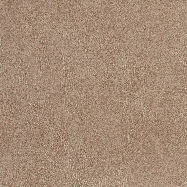 7068 Taupe by Charlotte Designer Fabric Breathable Volume II 100% Breathable Polyurethane, 26oz. Asia Exceeds 250,000 Wyzenbeek Rubs (Heavy Duty) No Repeat 54 Inches - Swanky Fabrics -