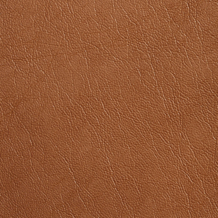 7079 Caramel by Charlotte Fabric Breathable Volume II 100% Breathable Polyurethane, 26oz. Asia Exceeds 2,000,000 Wyzenbeek Double Rubs (Heavy Duty) </p><p>Repeat: No Repeat 54 Inches - Fabric Carolina -