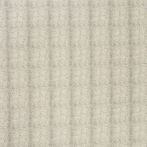 Mini Leopard Grey 70830 by Schumacher Fabric