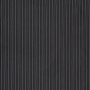 Ostia Stripe Black & White 70891 by Schumacher Fabric