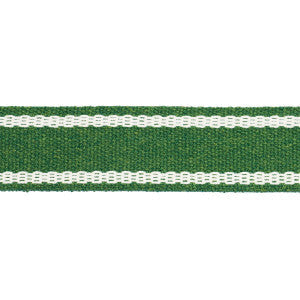 Sullivan Tape Narrow Indoor/Outdoor Green 83672 by Schumacher Trim