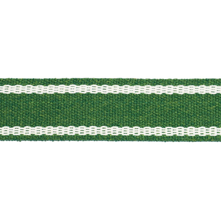 Sullivan Tape Narrow Indoor/Outdoor Green 83672 by Schumacher Trim Perennial Favorite Trims - Fabric Carolina -