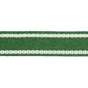 Sullivan Tape Narrow Indoor/Outdoor Green 83672 by Schumacher Trim