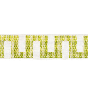 Matrix Tape Narrow Leaf 83921 by Schumacher Trim