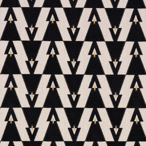 Kalido Velvet Onyx 84121 by Schumacher Fabric