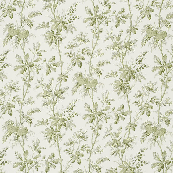 Brantwood Vine Leaf 5016350 by Schumacher Designer Wallpaper A Country Life 18.0" - Swanky Fabrics -