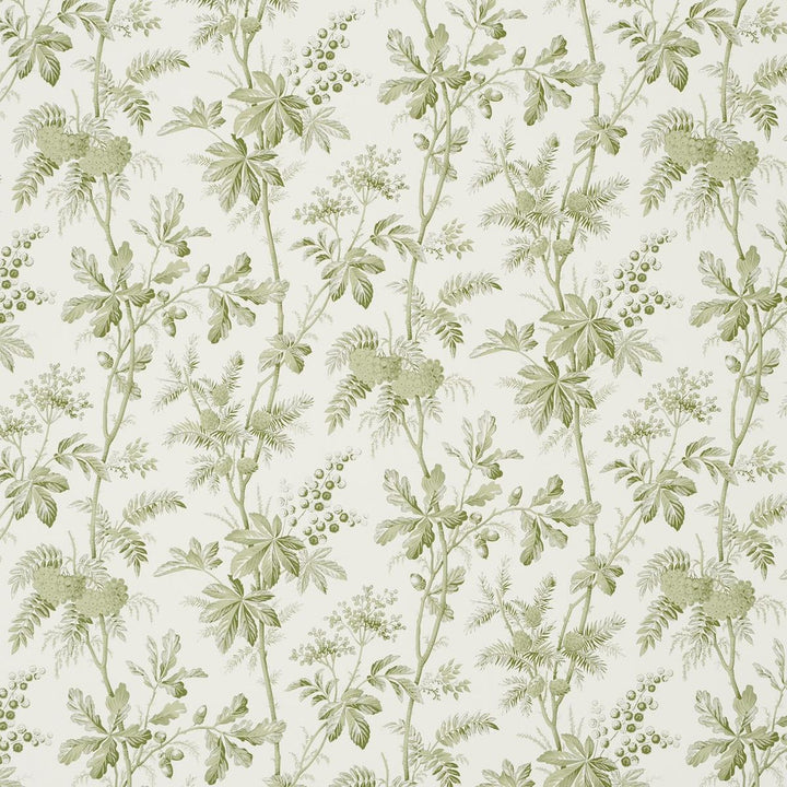 Brantwood Vine Leaf 5016350 by Schumacher Wallpaper A Country Life 18.0" - Fabric Carolina -