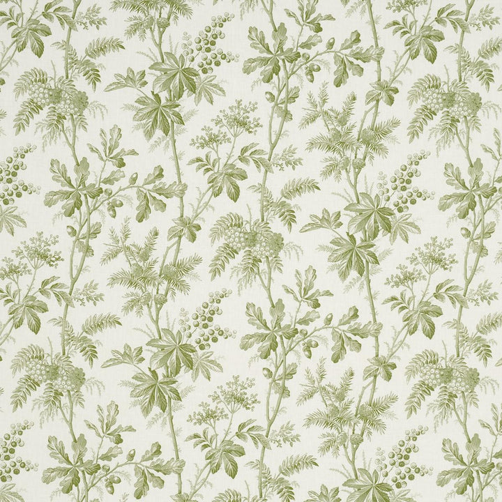 Brantwood Vine Leaf 174114 by Schumacher Fabric A Country Life 18.0" - Fabric Carolina -