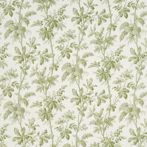 Brantwood Vine Leaf 174114 by Schumacher Fabric