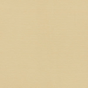 Lampedusa Ecru 70941 by Schumacher Fabric