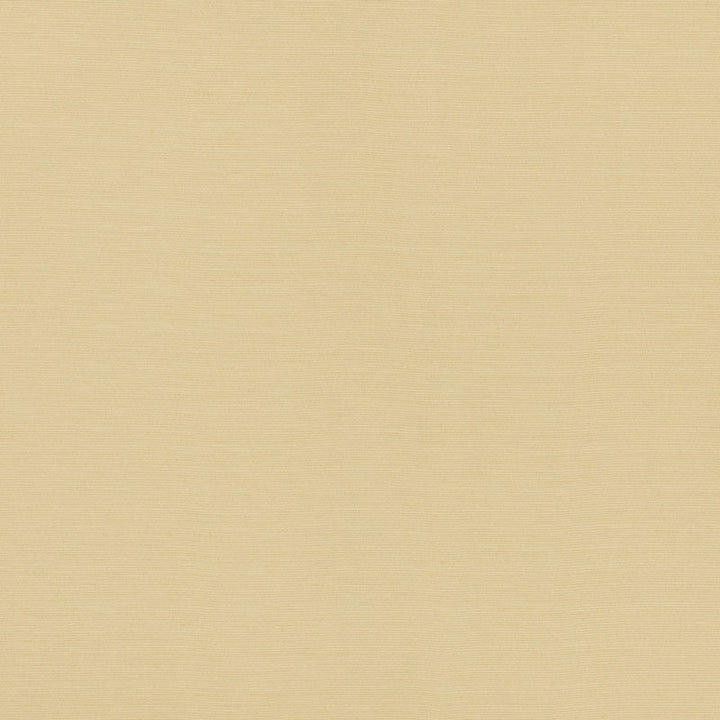 Lampedusa Ecru 70941 by Schumacher Fabric Riviera 100% Solution Martindale 12,000 Horizontal: - and Vertical: - 57 - Fabric Carolina -
