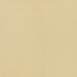 Lampedusa Ecru 70941 by Schumacher Fabric