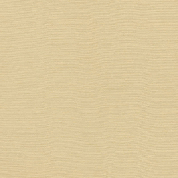 Lampedusa Ecru 70941 by Schumacher Fabric RIVIERA INDOOR/OUTDOOR See Sample ITALY LIGHT DUTY </p><p>Repeat: Horizontal: - and Vertical: - 57" (144CM) - Fabric Carolina -